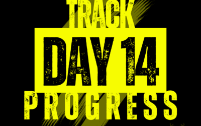 Day 14