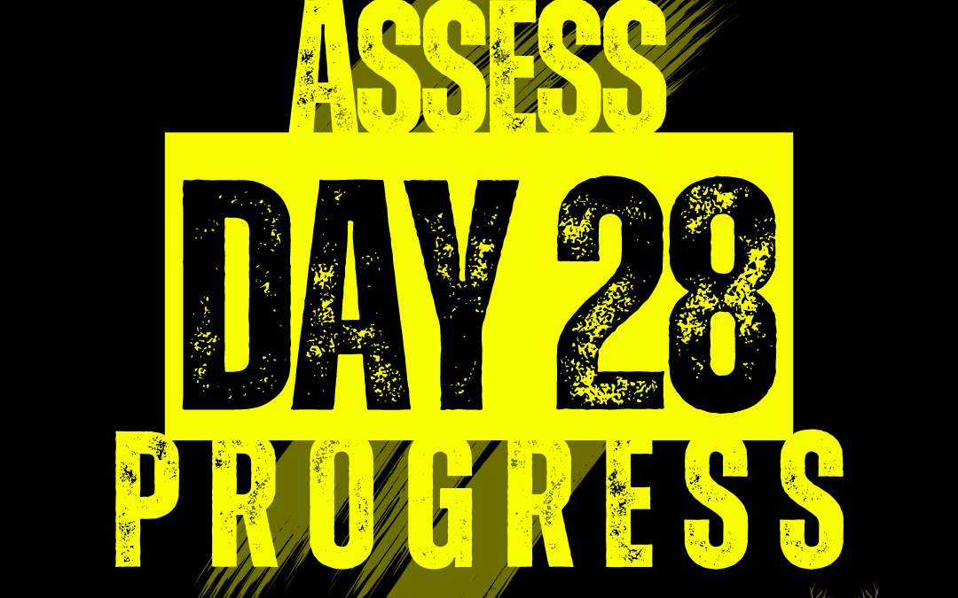 Day 28