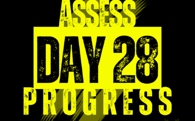 Day 28