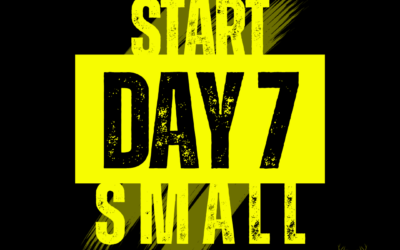 Day 7